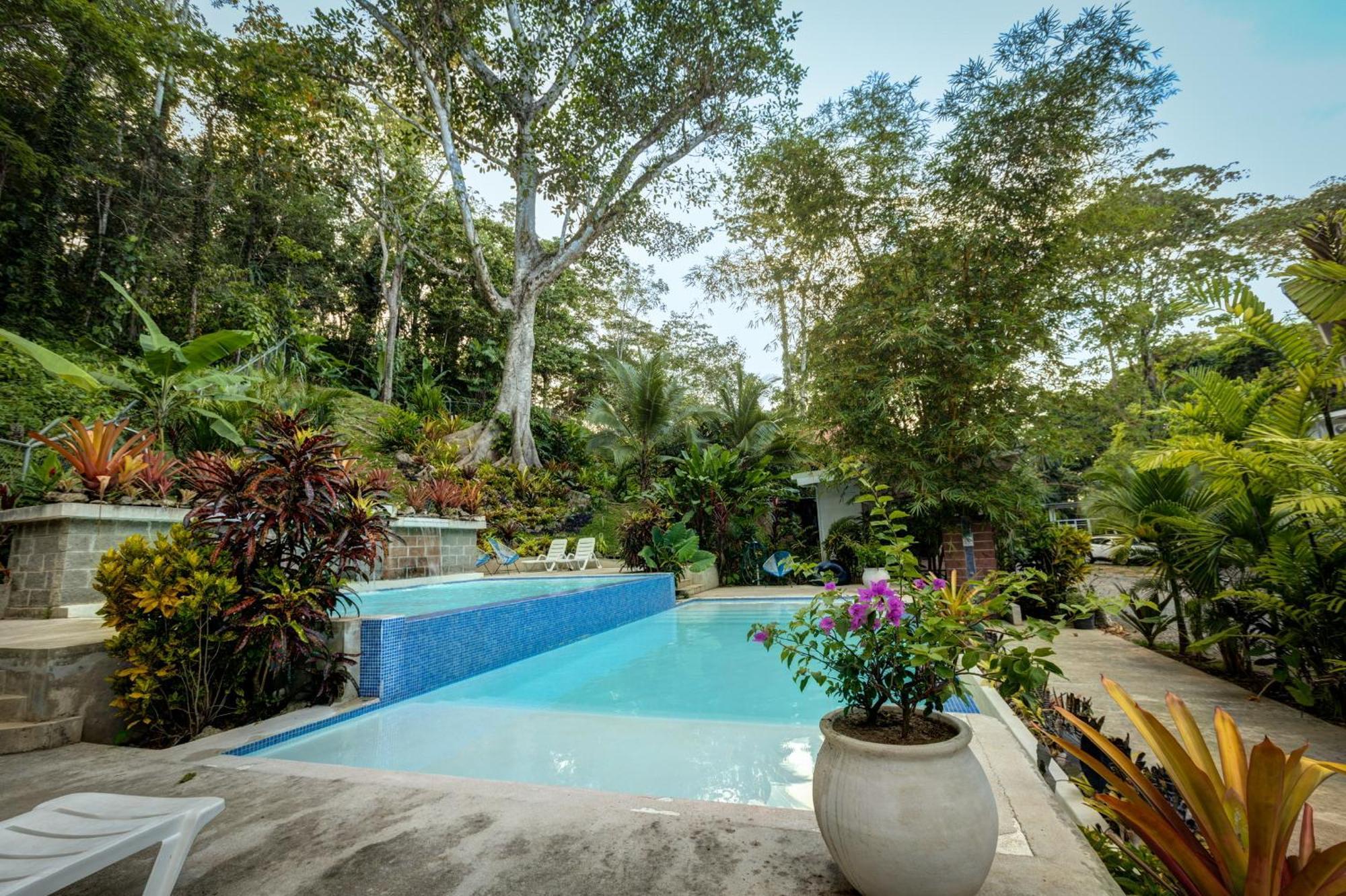 Villa Colibri - Private 1 Bedroom Studio/Bachelor Punta Uva Exterior foto