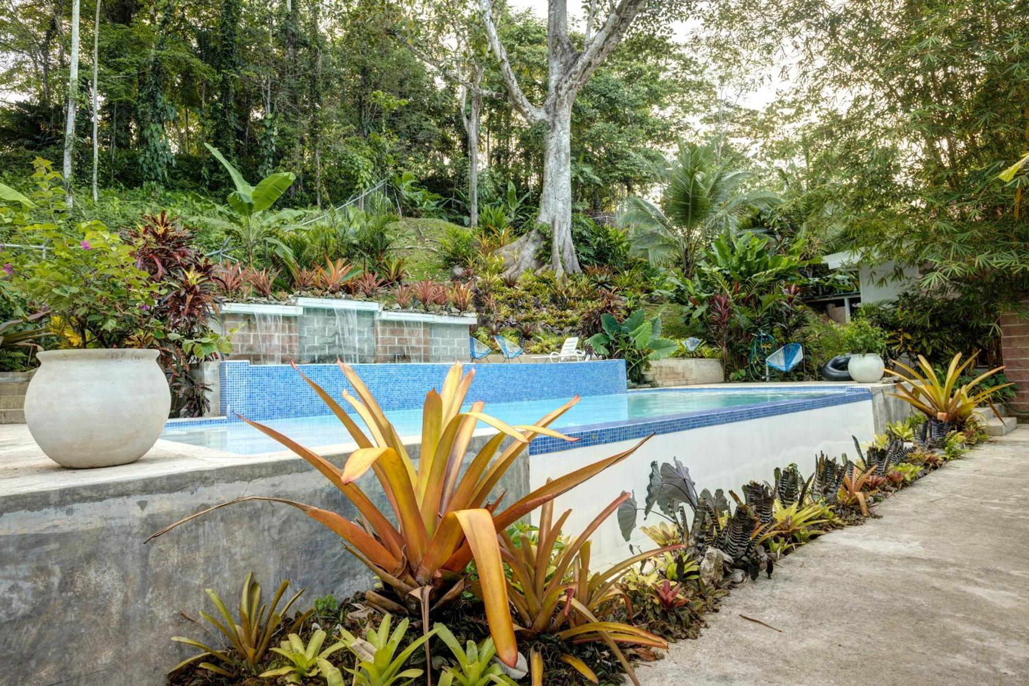 Villa Colibri - Private 1 Bedroom Studio/Bachelor Punta Uva Exterior foto